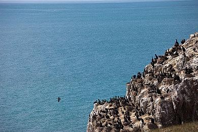 卡普空新作《祇：女神之道》预告 首发加入XGP