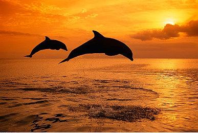 《闪电十一人》新作游戏新画面公开 更多消息今冬公布